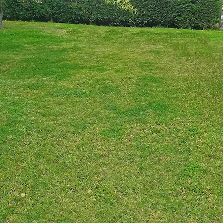 Gabrilis Prázdninový dům *