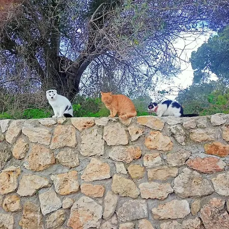 Prázdninový dům Gabrilis Pesádha