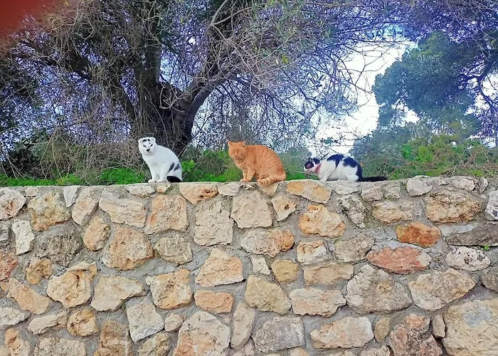 Сasa de vacaciones Gabrilis Pesádha